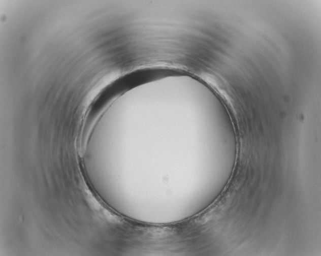 X0000088591189200706221333