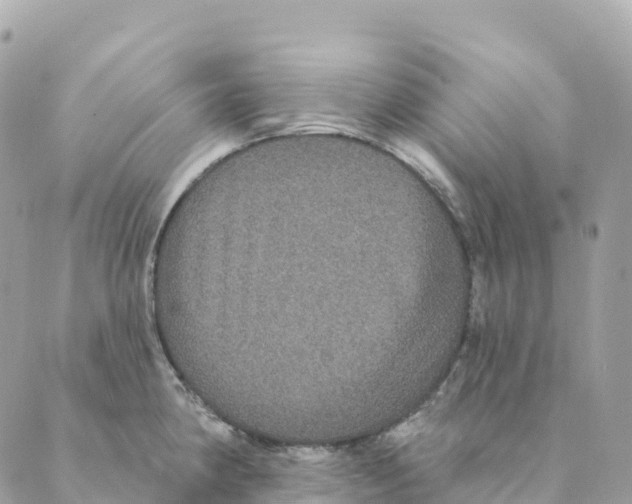 X0000088591190200706221333