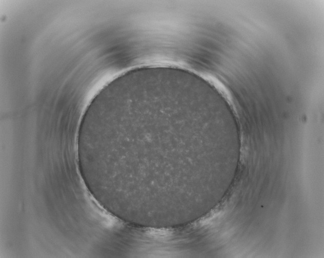 X0000088591191200706221333