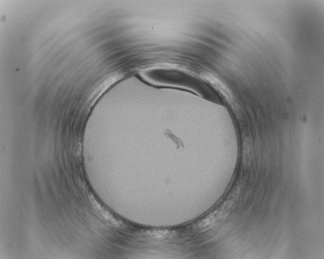 X0000088591193200706221333