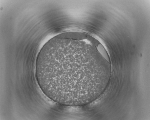 X0000088591195200706221333