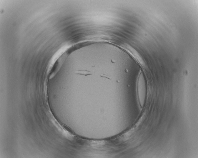 X0000088591196200706221333