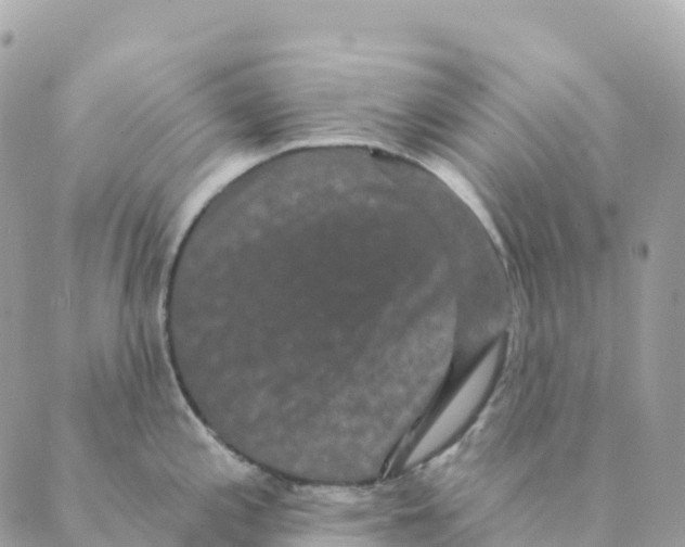 X0000088591197200706221333