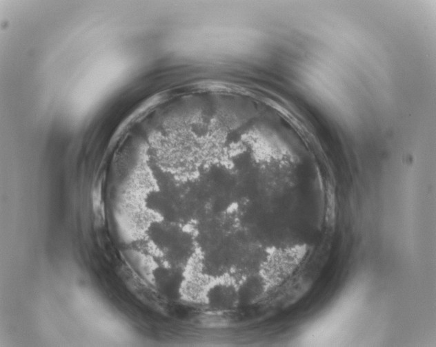 X0000088591198200706221333