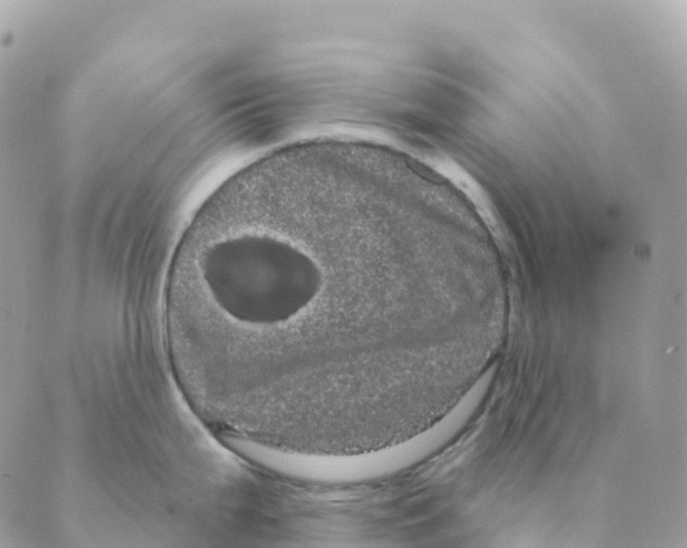 X0000088591199200706221333