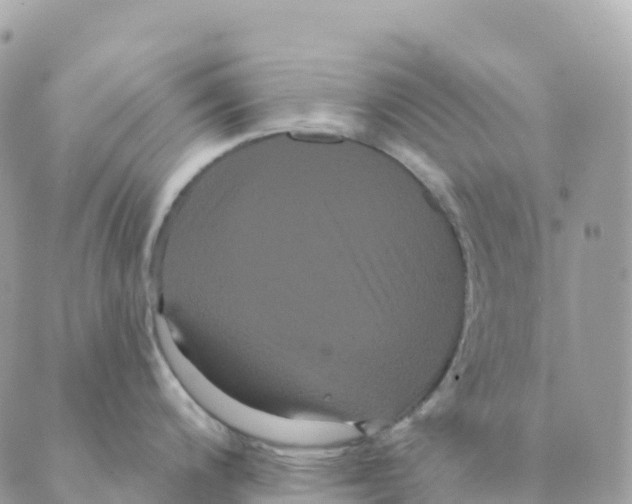 X0000088591200200706221333