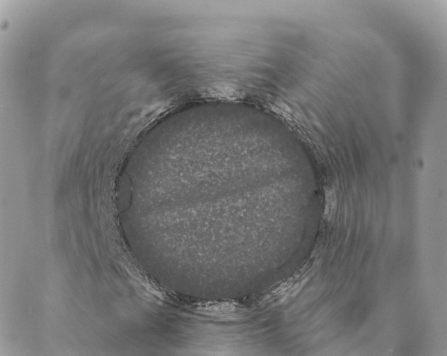 X0000088591201200706221332