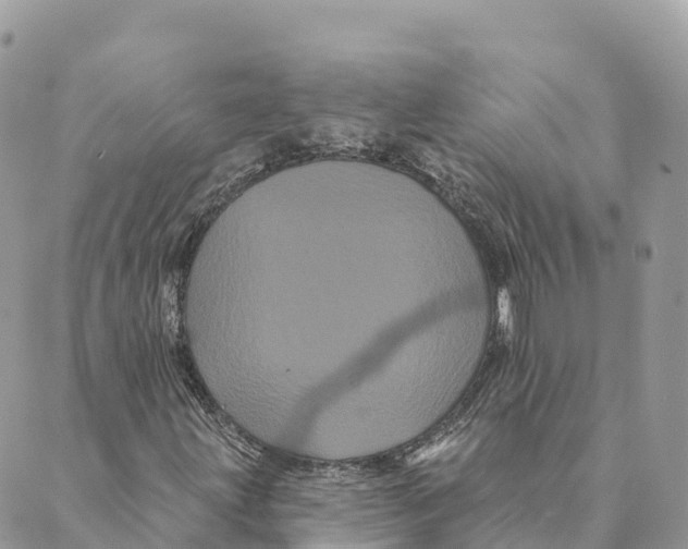 X0000088591203200706221332