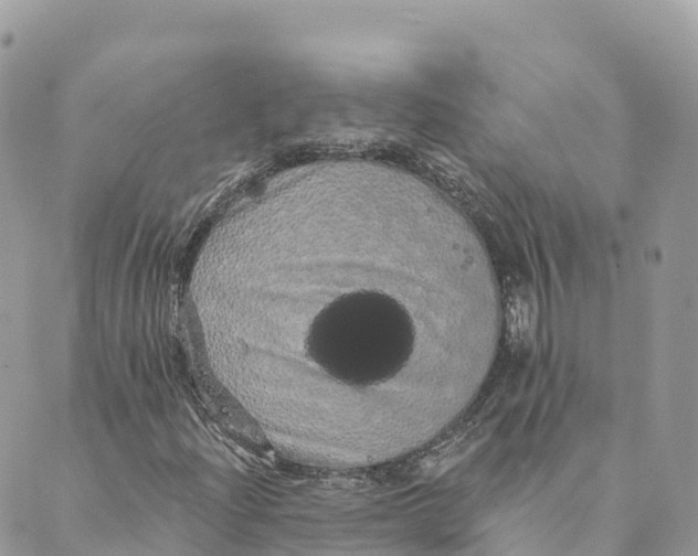 X0000088591204200706221332