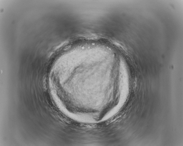 X0000088591205200706221332