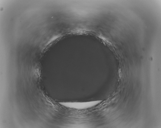 X0000088591206200706221332