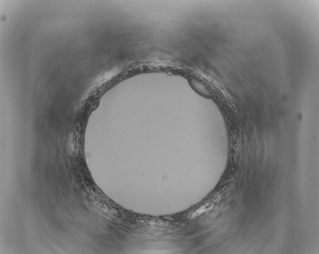 X0000088591207200706221332