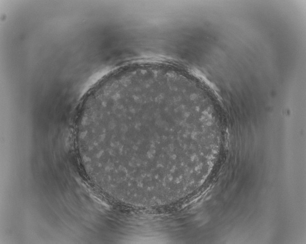 X0000088591208200706221332