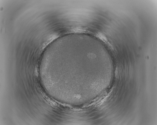 X0000088591209200706221332