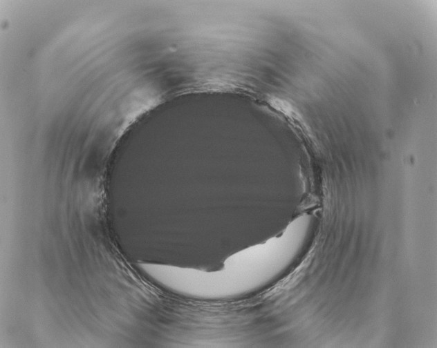 X0000088591210200706221332