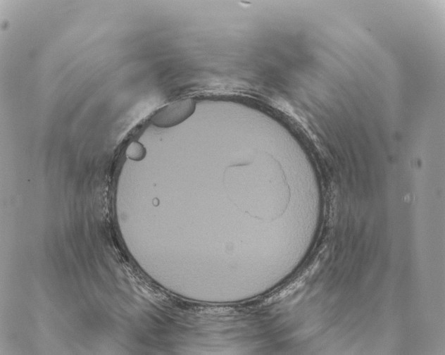 X0000088591211200706221332