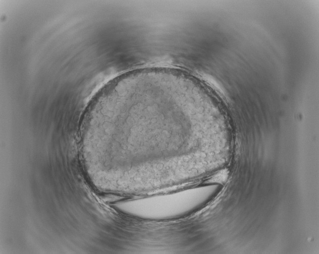 X0000088591212200706221332