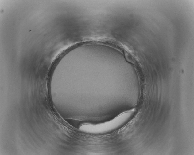 X0000088591214200706221332