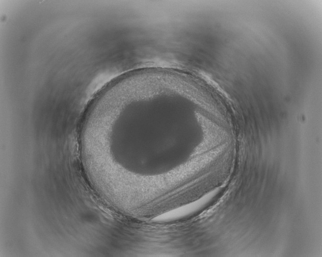 X0000088591215200706221333