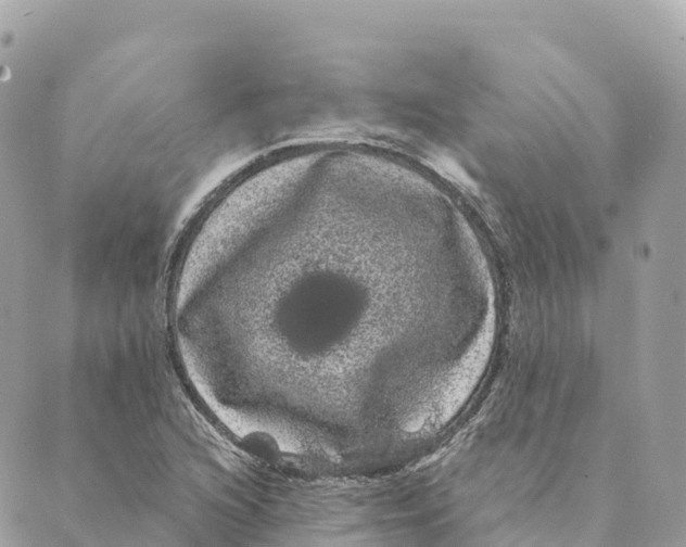 X0000088591216200706221333