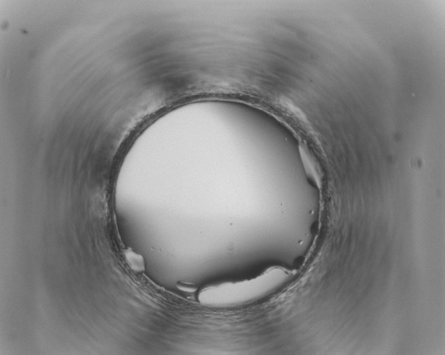 X0000088591218200706221333