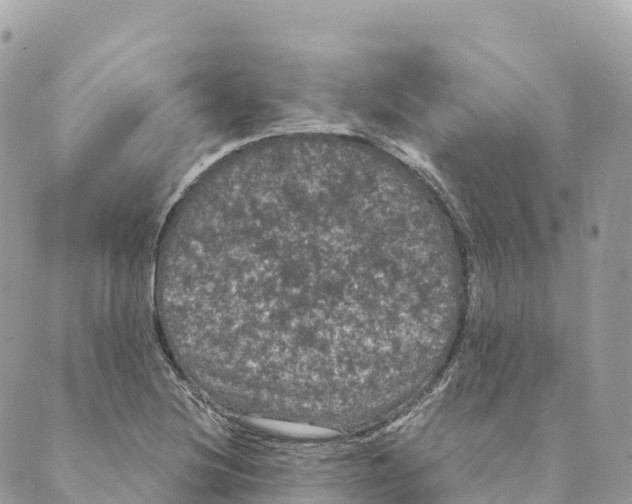 X0000088591220200706221333