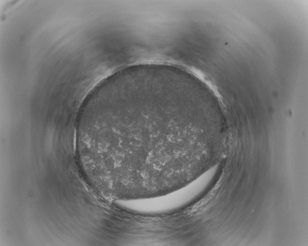 X0000088591221200706221333