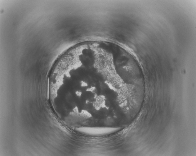 X0000088591223200706221333