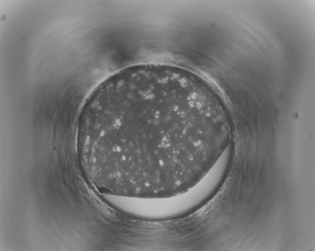 X0000088591224200706221333