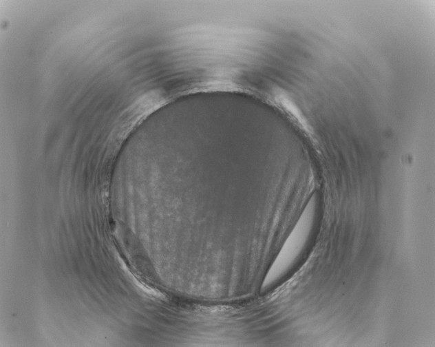 X0000088591225200706221333