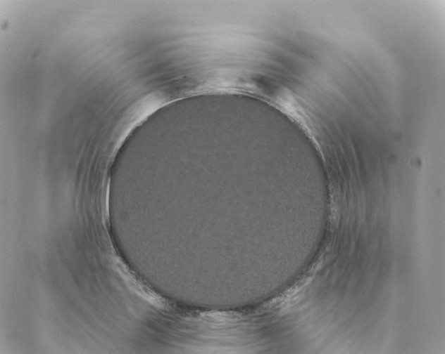 X0000088591227200706221333