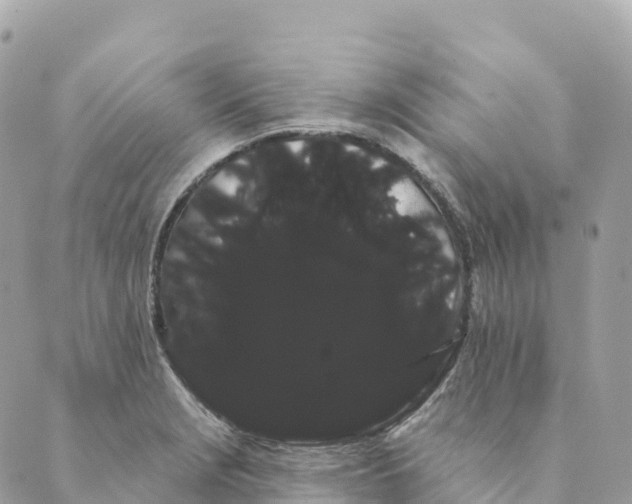 X0000088591229200706221333