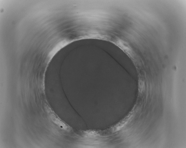 X0000088591230200706221333