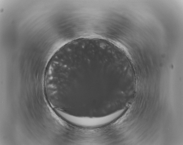 X0000088591231200706221333