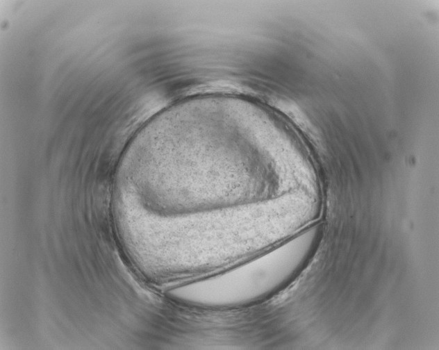 X0000088591233200706221333