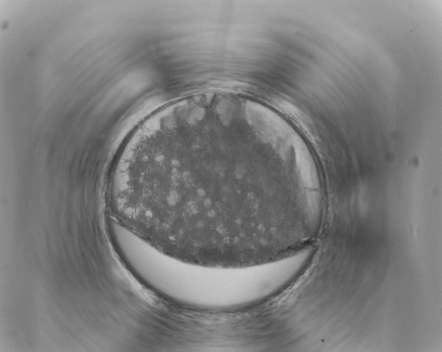 X0000088591235200706221333