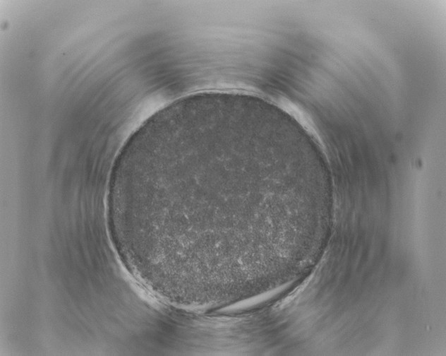 X0000088591237200706221333