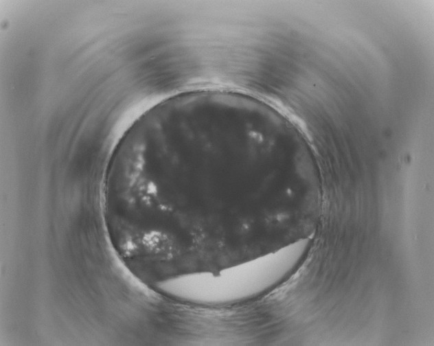 X0000088591239200706221333