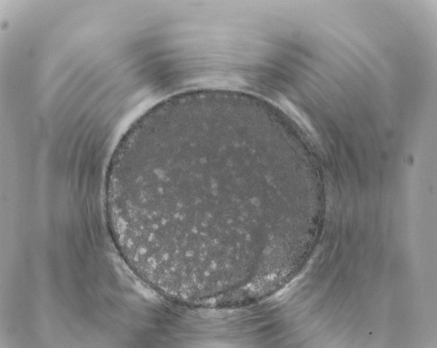 X0000088591240200706221333