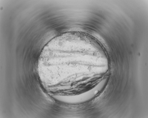 X0000088591241200706221333