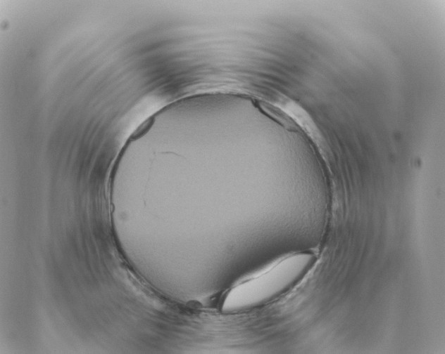 X0000088591242200706221333