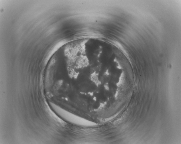 X0000088591243200706221333