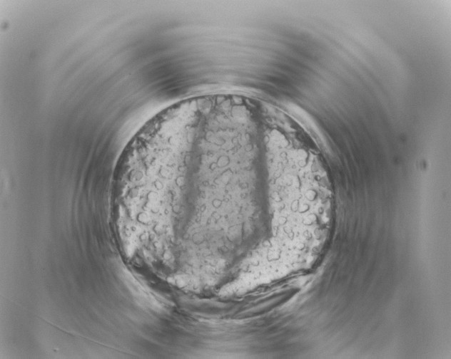 X0000088591244200706221333