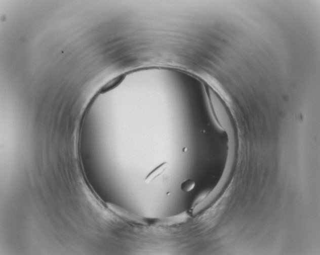 X0000088591246200706221333