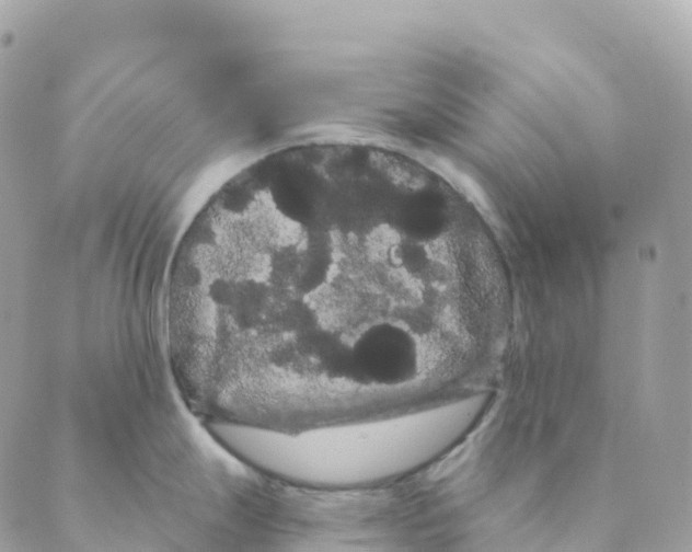 X0000088591247200706221333