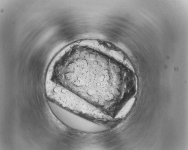 X0000088591248200706221333