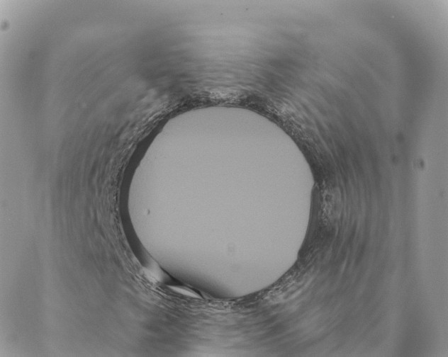 X0000088591249200706221332