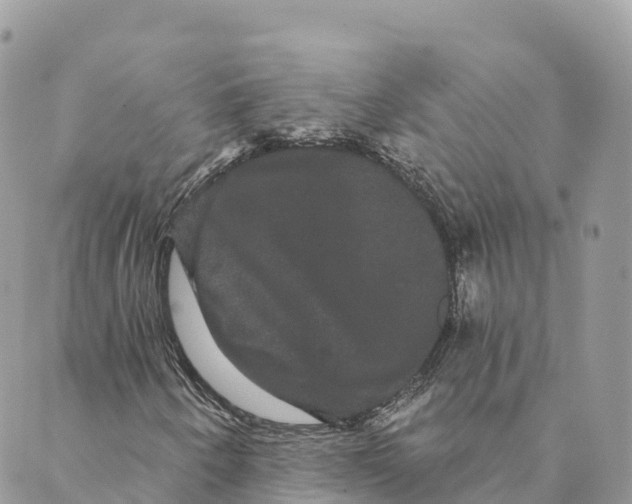 X0000088591250200706221332