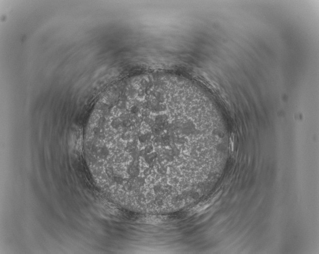 X0000088591251200706221332