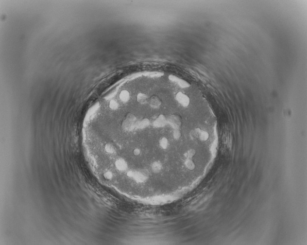 X0000088591252200706221332